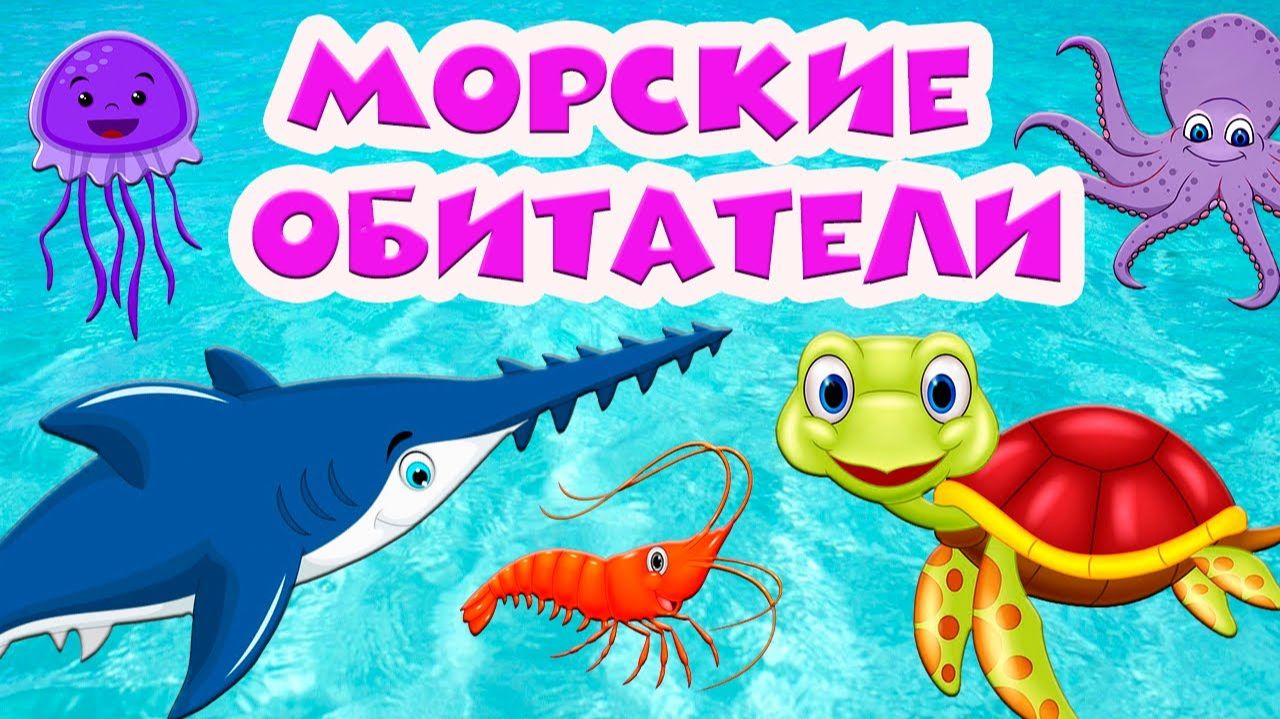 Морские обитатели 🐬 Подводный мир 🐠 Развивающие мультики 🐟 Для самых маленьких смотреть онлайн