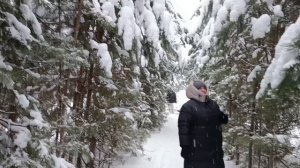 Прогулка по зимнему лесу