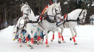 Роман Ефимов Три белых коня