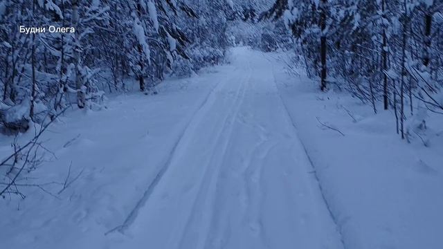 КАК МОЖНО БРОСИТЬ КУРИТЬ? ЭТО НЕ ЛЕГКО, НО ВОЗМОЖНО. 04.01.26 смотреть онлайн