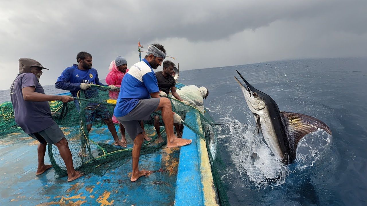 ВАУ! Пятый день мы провели в открытом море и поймали много крупной рыбы смотреть онлайн