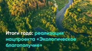 Итоги года: реализация нацпроекта «Экологическое благополучие»