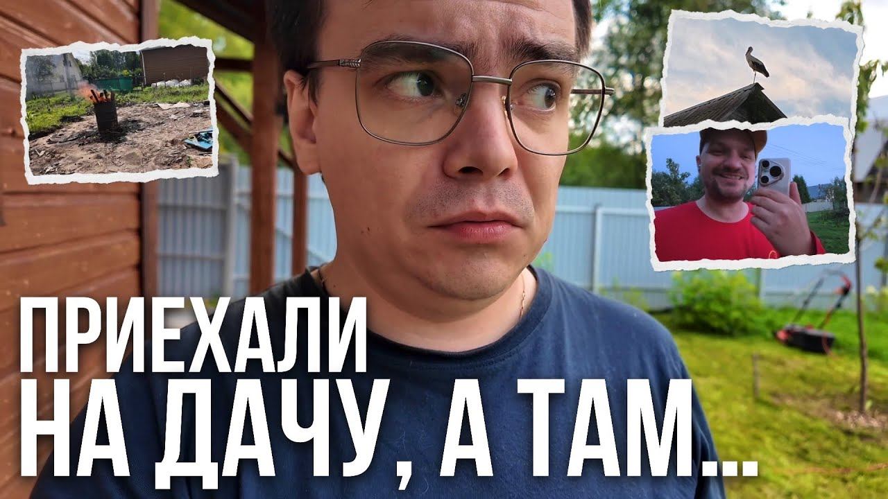Что происходит на моей даче? Редиска зацвела, аисты на фонарях и комары атакуют! смотреть онлайн