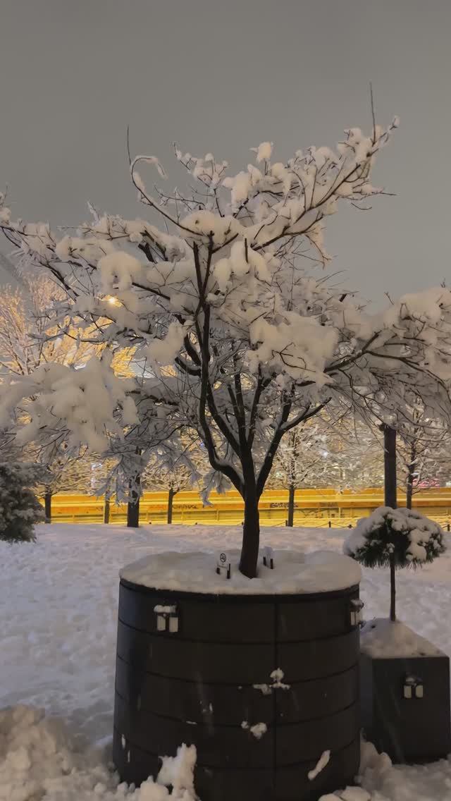 Сербия 2026 январь смотреть онлайн