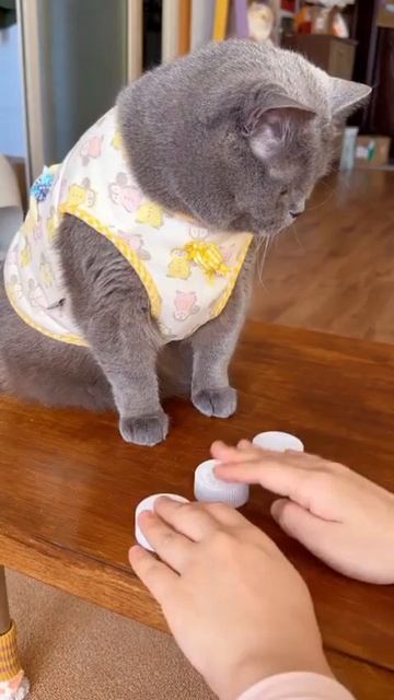 Кручу верчу, обмануть хочу смотреть онлайн