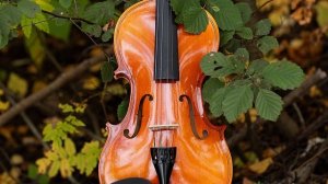 Современная классическая музыка на скрипке | Ecveezer - In the Grip of Your Embrace (Violin Version)