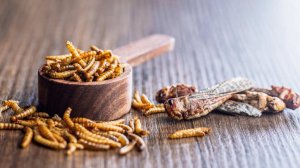 В Госдуме исключили появление в России продуктов из насекомых