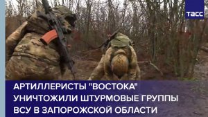 Артиллеристы "Востока" уничтожили штурмовые группы ВСУ в Запорожской области