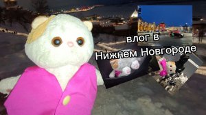 ВЛОГ в Нижнем Новгороде😸