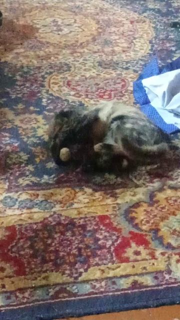 VID_20260107_1423281