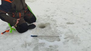 Основной водоём. На пасту.