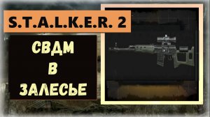 S.T.A.L.K.E.R. 2: Heart of Chornobyl  Где и как в Залесье найти крутую оптическую винтовку СВДМ - 2