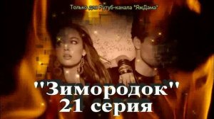 Впечатления от 21 серии турецкого сериала "Зимородок"