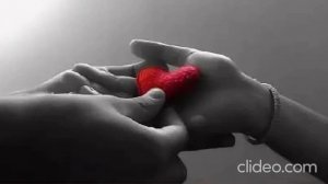 Гепард-Сердце не игрушка