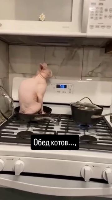 Ожидание обеда смотреть онлайн