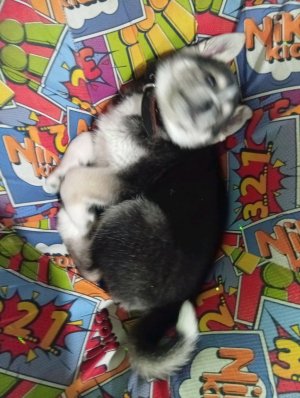 просто эфир хз