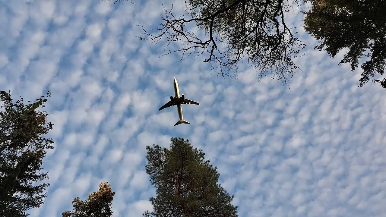 ЛЕСНЫЕ БЕСЕДЫ. Из лета в осень смотреть онлайн