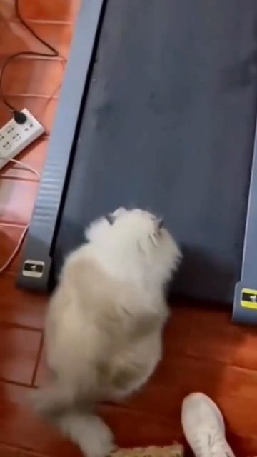 Я и спорт смотреть онлайн