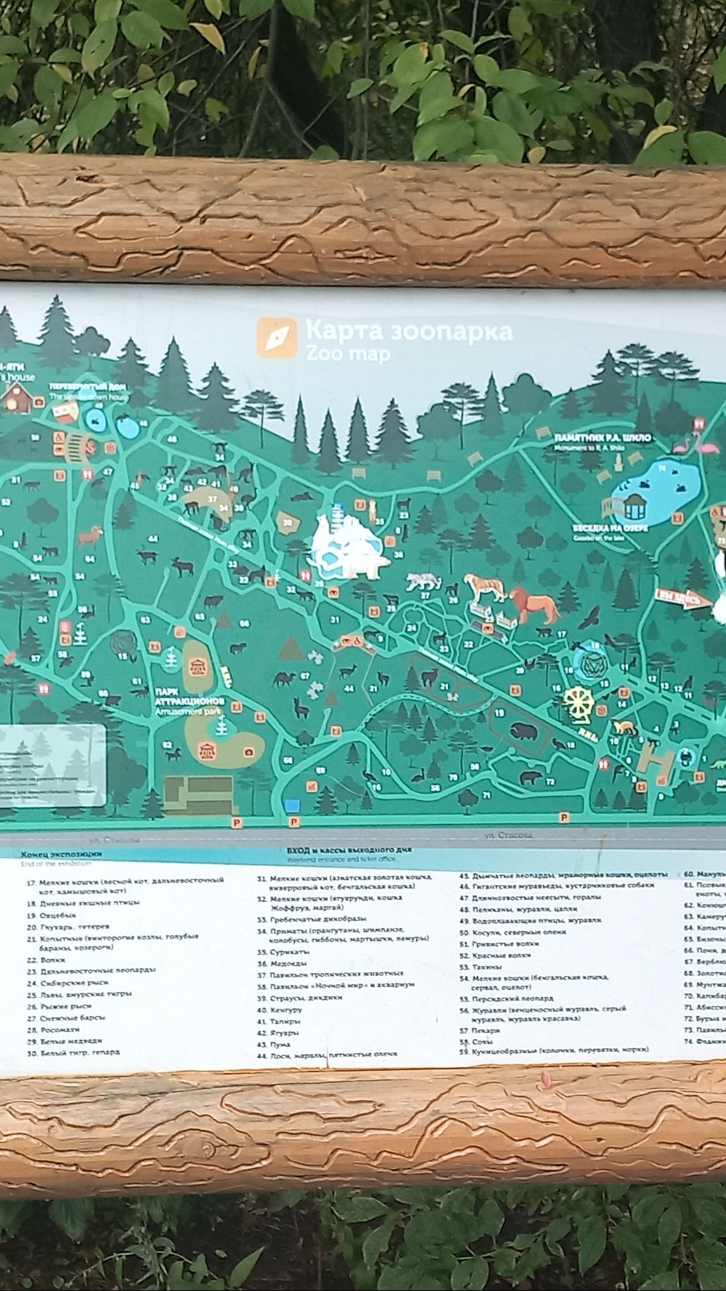 15.08.2024г
г. Новосибирск
Новосибирский зоопарк им. А.Н. Шило