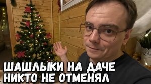 ДАЧНЫЙ ВЛОГ. НОВОГОДНИЕ КАНИКУЛЫ НА ДАЧЕ ПРОДОЛЖАЮТСЯ. ОТМЕЧАЕМ НОВЫЙ ГОД С ШАШЛЫКАМИ
