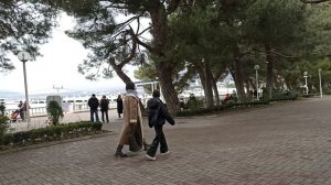 Геленджик. Январь 2026 года