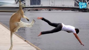 УГАРНЫЕ ПРИКОЛЫ С ЮМОРОМ 2026 Смешные видео 7