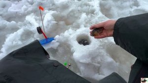 Рождественская рыбалка, в дождь.... 07.01.2026 🌧️💧☃️🎣