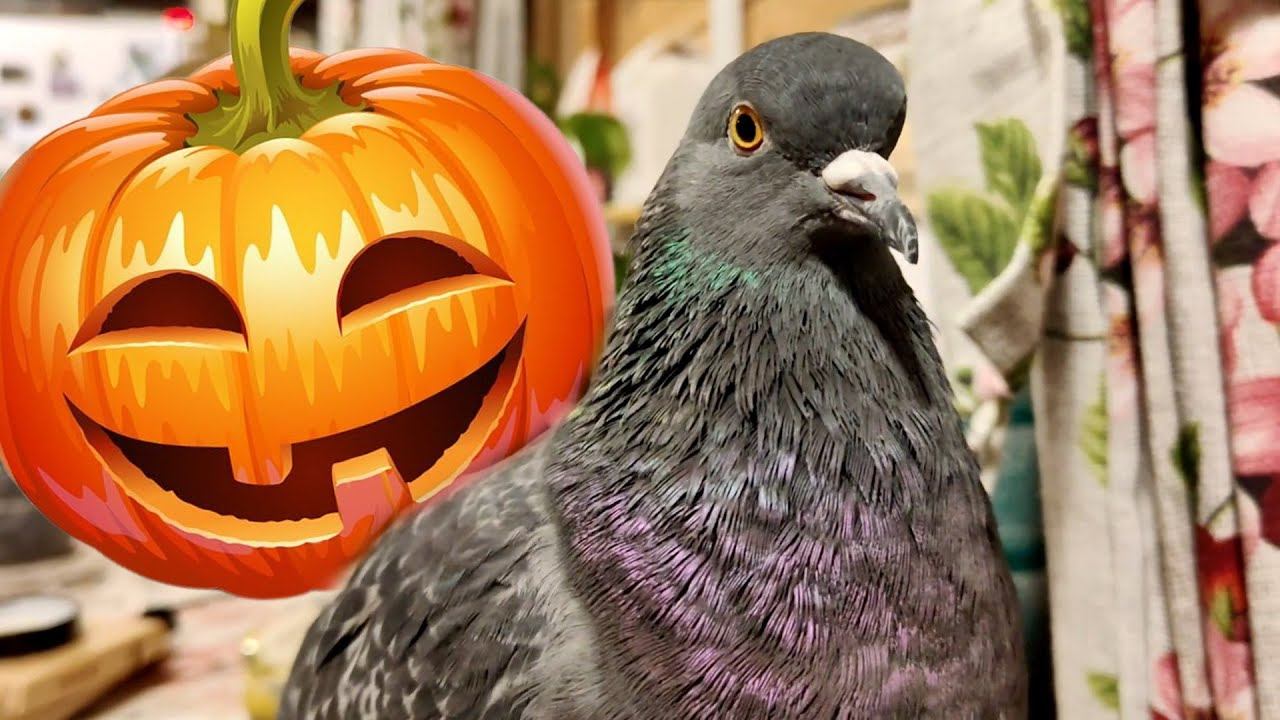 АНАСТАСИЯ. Мистические беседушки смотреть онлайн