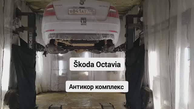 Антикоррозийная обработка Skoda Octavia. Антикор мастер 136. г Воронеж смотреть онлайн
