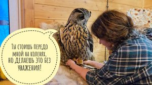 Меняем сове Ёлке обувочку. Эпичное сокрушение совы в орхидеи - все взбодрились!