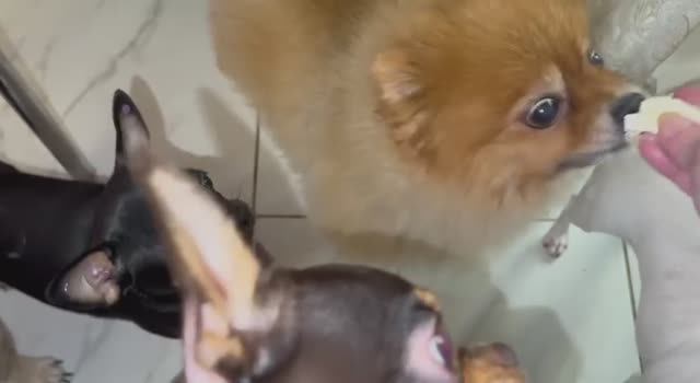 Вкусный и полезный перекусик.