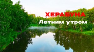 От ПЕЧАЛИ до РАДОСТИ пара забросов. ХЕРАБУНА.