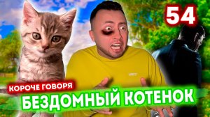 КОРОЧЕ ГОВОРЯ, Я БЕЗДОМНЫЙ КОТЕНОК 54 - 5 лет спустя ГДЕ МОЙ ХОЗЯИН