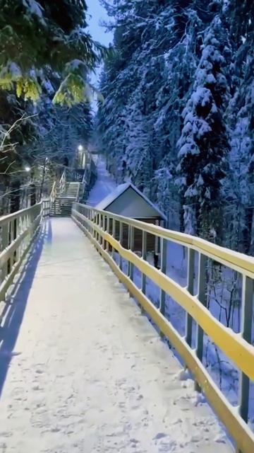 Если ДЕВУШКА | БЫВШАЯ Хочет Близости ! #игнор #каквернутьбывшую #близость смотреть онлайн