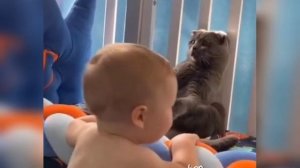 На грани 🤣