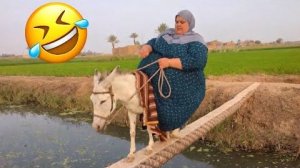 Попробуй не рассмеяться 🤣 Топ-100 самых смешных видео в истории 🎬🔥 Подборка  неудач и розыгрышей