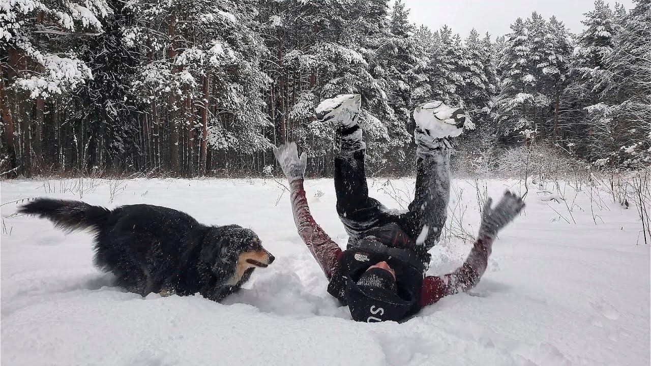 ЛЕСНЫЕ БЕСЕДЫ. Утро 1 января смотреть онлайн