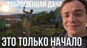 Расчистка ЗАБРОШЕННОЙ ДАЧИ: Кошмар с Бочкой и Осами!