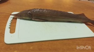 Готовлюсь к празднику . С РОЖДЕСТВОМ вас