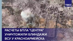 Расчеты БПЛА "Центра" уничтожили блиндажи ВСУ у Красноармейска