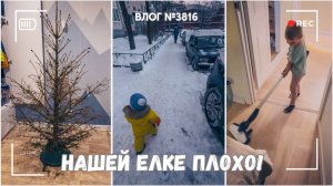 Елке стало плохо | Навожу чистоту дома - ВЛОГ №3816 - 06.01.26