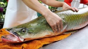 В реке Амазонка поймали огромную рыбину и приготовили её.