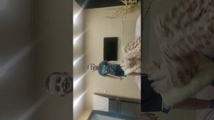 VID_20260107_220912.mp4опшевщнужганж