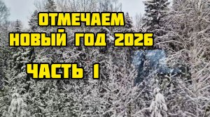 182. Новогодний влог. Вдвоем не скучно. В Москву на праздник