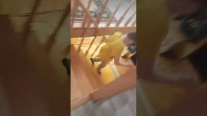 общаемся с подписчиками