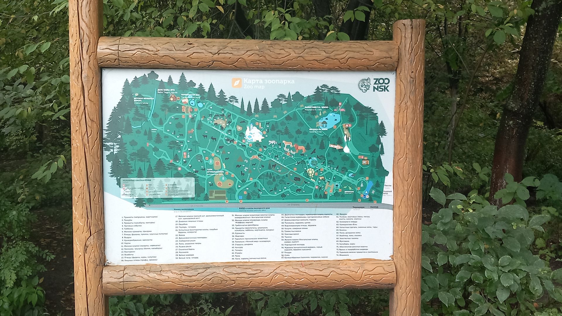 15.08.2024г
г. Новосибирск
Новосибирский зоопарк им. А.Н. Шило