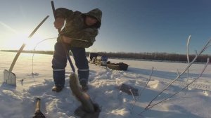 Рыбалка в Сибири, часть 80.