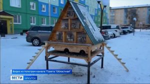 Первый домик для бездомных кошек появился в Свирске