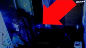 НАСТОЯЩИЕ ФИКСИКИ - ФОТО ФИКСИКОВ | КАК НАЙТИ ФИКСИКА?