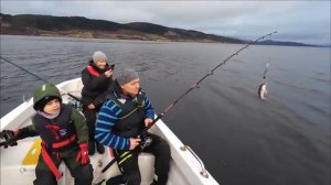 Поймали 6 видов + ОСЬМИНОГ 🐙 Зимняя рыбалка с лодки в Норвегии